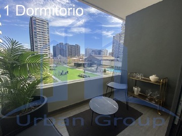 Imagen 13