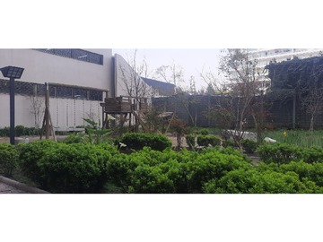 Imagen 27