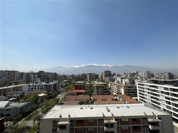 Imagen 7