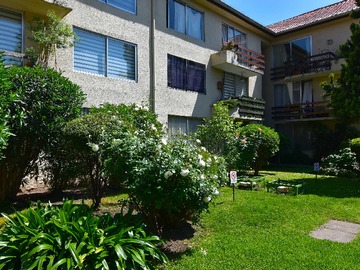 Arriendo Mensual / Departamento / Ñuñoa