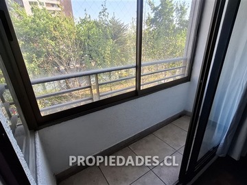 Imagen 12