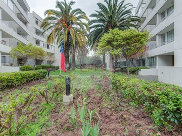 Imagen 20