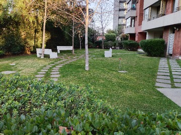 Imagen 15
