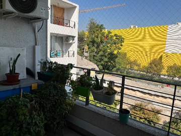 Imagen 5