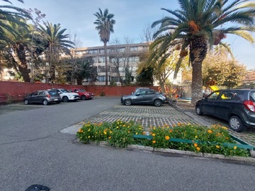 Imagen 15