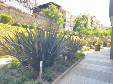 Imagen 21