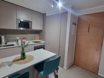 Arriendo Mensual / Departamento / Ñuñoa