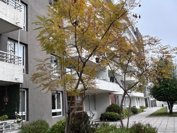 Arriendo Mensual / Departamento / Ñuñoa