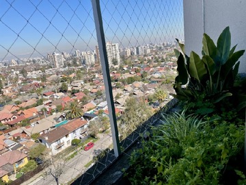 Imagen 8