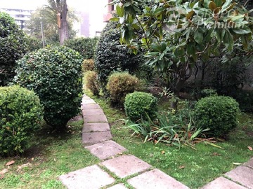 Imagen 24