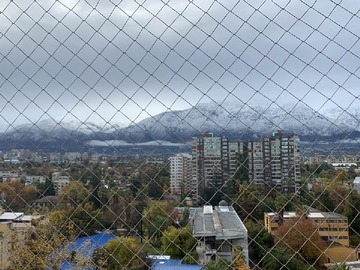 Imagen 5