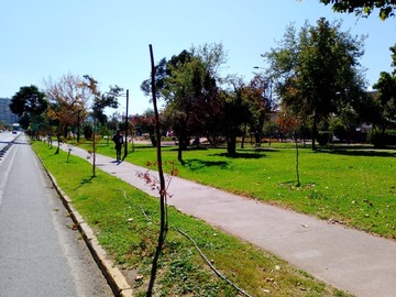 Imagen 12