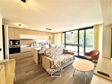 Arriendo Mensual / Departamento / Ñuñoa