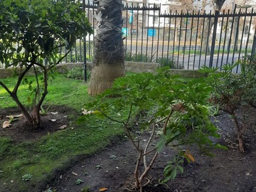 Imagen 4