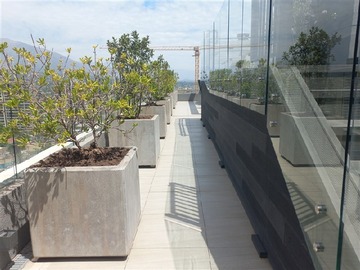 Imagen 9
