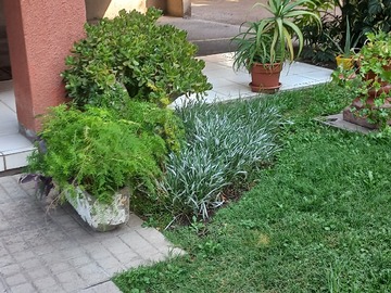 Imagen 15