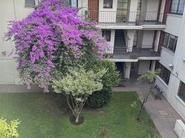 Arriendo Mensual / Departamento / Ñuñoa