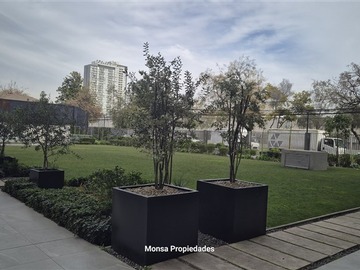 Imagen 30