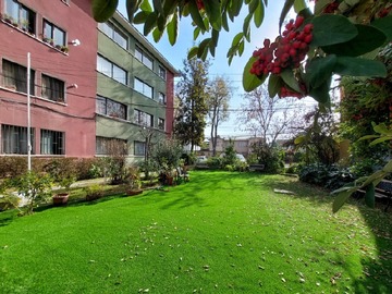 Imagen 29