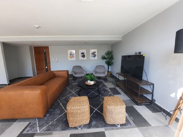 Imagen 15