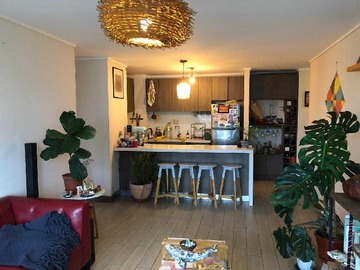 Arriendo Mensual / Departamento / Ñuñoa