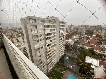 Imagen 5