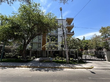 Imagen 6