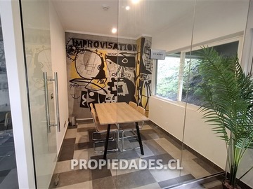 Imagen 12