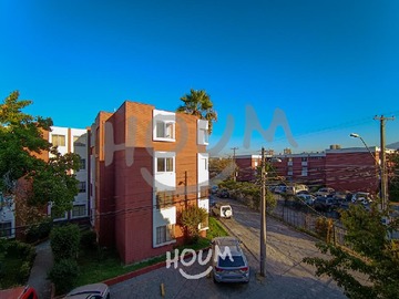 Imagen 6