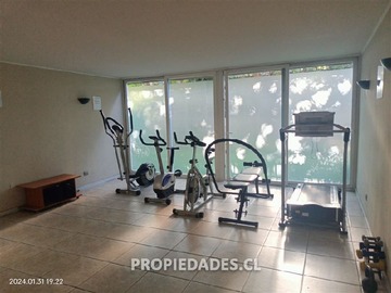 Imagen 23