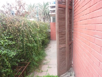 Imagen 12