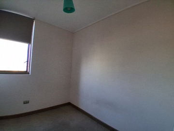 Imagen 11