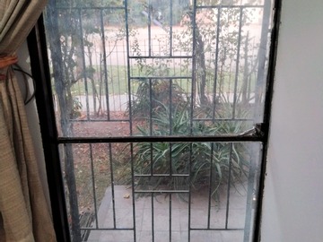 Imagen 23