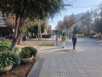 Imagen 14