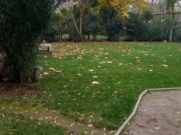 Imagen 20