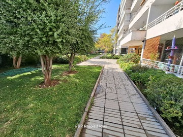 Imagen 14