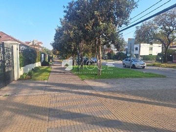 Imagen 21