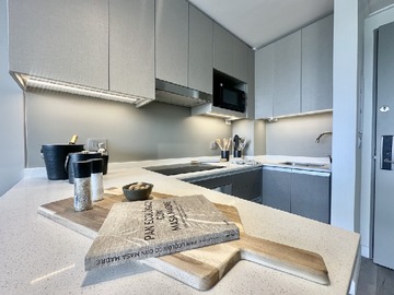 Arriendo Mensual / Departamento / Ñuñoa