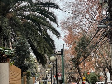Arriendo Mensual / Departamento / Ñuñoa