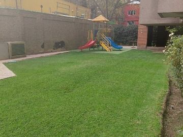 Imagen 23