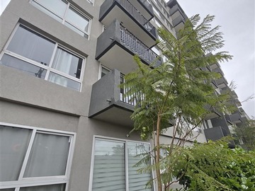 Arriendo Mensual / Departamento / Ñuñoa