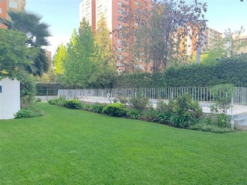 Imagen 12
