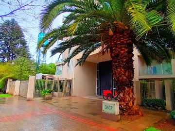 Arriendo Mensual / Departamento / Ñuñoa