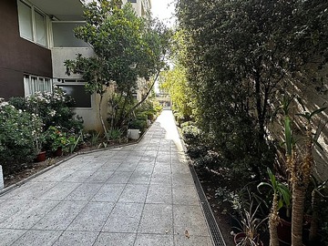 Imagen 5