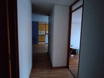 Imagen 11