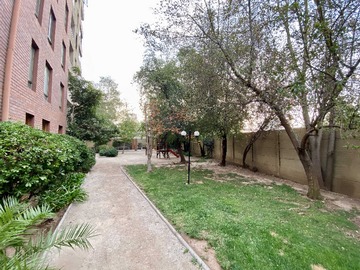 Imagen 19