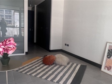 Imagen 10