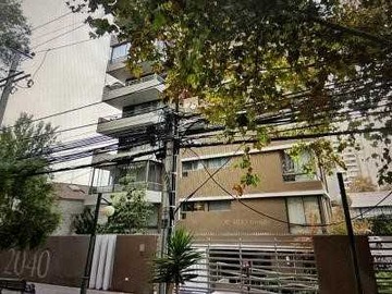 Imagen 22