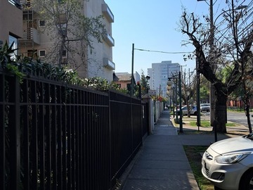 Imagen 20