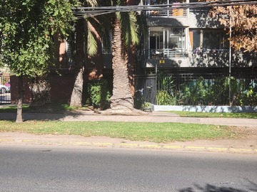 Arriendo Mensual / Departamento / Ñuñoa